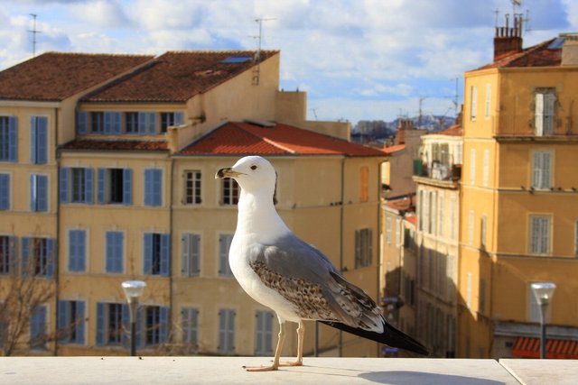 20090207_provencetrip_05_marseille1